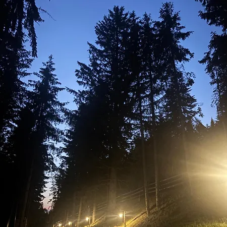 シャレー Hanina Village - L I Ll