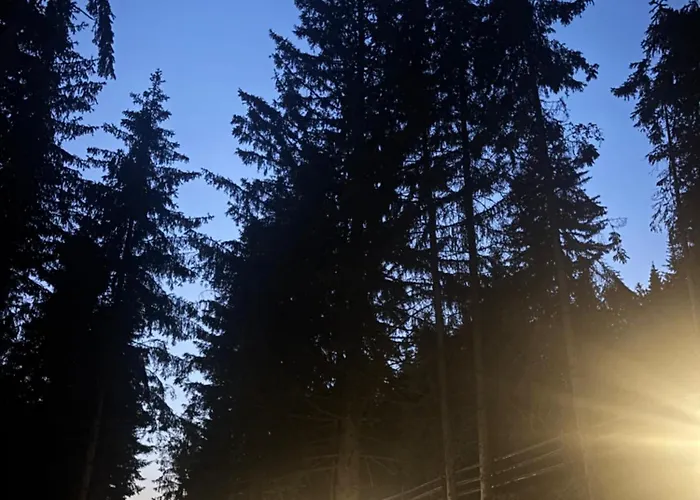 シャレー Hanina Village - L I Ll